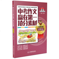 正版 中考作文赢在第一抢分素材:语段抢眼篇 潘炫 著 江西教育出版社