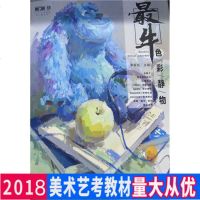正版 《2018敲砖色彩静物》李家友联考水粉色调入塑造书 敲砖素描静物 敲砖系列美术素描书 素描书入自