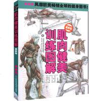 肌肉健美训练图解 男性肌肉训练健美图详解 肌肉力量训练健身书籍教程私人教练培训教材体能训练书籍强肌动作健身书籍大全运