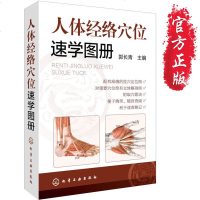 正版 人体经络穴位速学图册 郭长青 中医养生书籍 人体穴位按摩全图解 筋络穴位速记手册 常见病症家庭按摩书籍 保健养