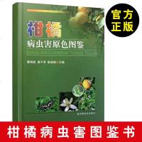 [柑橘病诊治与防治书籍]柑橘病虫害原色图鉴 蔡明段 柑橘病虫害防治技术 柑橘种植栽培技术大全书籍 柑橘病自我诊治 柑