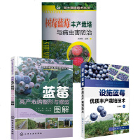 全三册蓝莓栽培种植技术大全书籍 蓝莓设施优质丰产栽培技术+蓝莓高产栽培整形与修剪图解+树莓蓝莓丰产栽培与病虫害防治