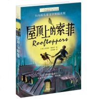 长青藤国际大奖小说书系 屋顶上的索菲 卡内基儿童文学奖提名奖 6-9-12-15岁中小学生课外阅读图书 青少年经典儿