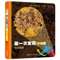 第一次发现手电筒系列丛书 昆虫的家 3-6周岁儿童科普大百科全书小学一年级课外阅读物3D立体幼儿启蒙绘本翻变透视眼故