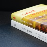 正版 上帝怀中的羔羊 凯洛琳米勒著 普利策文学奖 外国青春励志小说 书籍媲美 飘 追风筝的人 偷影子的人经典现