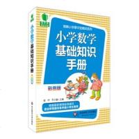 大夏书系·青苹果精品学辅3期 ·小学数学基础知识手册 彩图版 图解小学掌中宝精品系列 教辅参考书 华东师范大学出版社