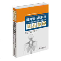 肌肉链与扳机点 手法镇痛的新理念及其应用 肌肉链 手法治疗运动创伤治疗师肌肉链整骨扳机点治疗 推拿按摩书籍 运动创伤