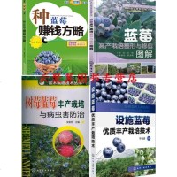 蓝莓栽培种植技术大全书籍 种蓝莓赚钱方略+蓝莓设施优质丰产栽培技术+蓝莓高产栽培整形与修剪图解+树莓蓝莓丰产栽培与病