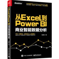 从Excel到Power BI 商业智能数据分析 Microsoft Power BI微软商业数据分析工具书 软件操