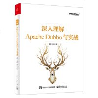 2019新书 深入理解Apache Dubbo与实战 诣极林琳 环境配置内置注册原理 扩展点加载启动服务暴露 RPC