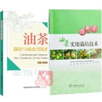 2本 油茶实用栽培技术+油茶栽培与病虫害防治 油茶栽培技术书籍 油茶树整形修剪 油茶苗圃建设油料植物种植油茶容器育苗