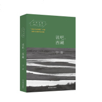 正版 说吧,西藏 宁肯 上海文艺