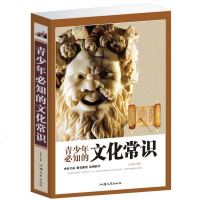 16青少年必知的文化常识 不可不知中国古代文化常识资料高考必备手册 辞典王 历史人文地理 学生高中语文书 力 现