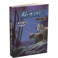 七月新书 猫王国·暗黑王国.5,飞火流星 新华书店上海书城旗舰店 正版保证