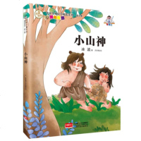 名家儿童文学系列 小山神 冰波冰心儿童文学奖 获奖作家精品书系 青少年励志 故事小学生课外读物