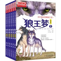 全套6册 狼王梦正版 沈石溪 全本经典六年级 动物小说全集 课外阅读书籍四五 漫画版 沈石溪的书全系列 儿童画本单