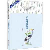 天使湖的味道 胡莹 儿童文学