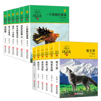 沈石溪动物小说全集全套12册经典品藏书系单本小学生三四五六年级课外书必读狼兄狼弟10-12-15岁儿童阅读物图书狼王