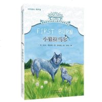 小狼拉马尔/摆渡船当代世界儿童文学金奖书系 托尔.赛特勒/著 6~8~12岁小学生课外阅读书籍 儿童文学 北京少年儿