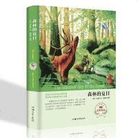 正版 森林的夏日 (苏) 比安基著经典名著世界名著读本 外国小说文学 汕头大学出版社名家推荐名家名译(精装)