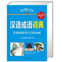 语文常备工具书 汉语成语词典 小学生字典词典 正版