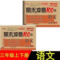 2019正版小学期末冲刺100分三年级语文上册下册全套2本人教版3三年级上下册语文书同步训练习册辅导书单元期中期末测