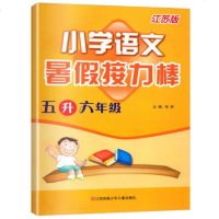 2019实验班提优训练五年级暑假作小学语文暑假接力棒 五升六年级 江苏版