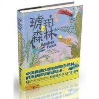 琥珀森林 中国首部以昆虫琥珀为题材的原创科学童话绘本 精装绘本 科普