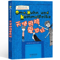 国际大奖小说:天使母鸡爱疯狂 儿童文学小说 奥地利青少年文学奖 少儿读物 小学生 儿童读物 7-10-12岁