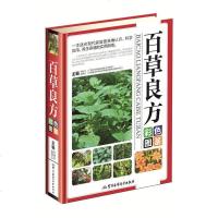 百草良方彩色图鉴彩图版精装 正版图解中草药中药材彩色图谱附偏方药方 中药材药方养生中医养生保健书籍 本草纲目中医学入