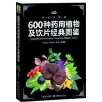 正版 600种药用植物及饮片经典图鉴 名贵草药识别 医学 药学 中国高等植物图鉴 中药尤志勉//韩安榜//吴棣