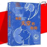 正版 魔法象 故事森林 来自天堂的狗狗 (美)丹·格迈因哈特/著 陆巧玲/译 林师/ 绘 广西师范大学出版社