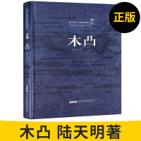 【安徽文艺】陆天明经典作品集 木凸 中国现当代小说系列精装 历史小说 长篇小说 名家现当代文学散文文集小说名作