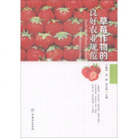 草莓作物的良好农业规范 规模化草莓生产土壤管理种苗处理栽培管理灌溉与施肥病虫害控制采收一本通 草莓环境卫生废弃物和污