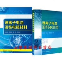 2册 锂离子电池溶剂与溶质+锂离子电池活性电极材料 液态溶剂溶质锂盐功能添加剂导体结构组成材料电池器件开发 电化学原
