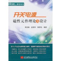 正版 开关电源磁性元件理论及设计 深入浅出磁性元件知识 电磁案例解析 工程应用设计难点解读 磁基本理论 磁元件设