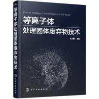 正版新书 等离子体处理固体废弃物技术 固体废弃物处理实用技术 等离子体技术用于处理固废的新技术环境工程实用技术图书化