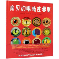 八月新书 扇贝的眼睛在哪里 新华书店上海书城旗舰店 正版保证