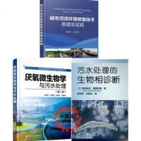 全3册 城市河流环境修复技术原理及实践+厌氧微生物学与污水处理+污水处理的生物相诊断 城市河道水环境污染治理工程技术
