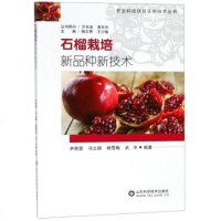 2019石榴栽培新品种新技术 石榴树栽培种植技术大全书籍 石榴树病虫害防治 石榴树整形修剪 石榴种植书籍 石榴果园经