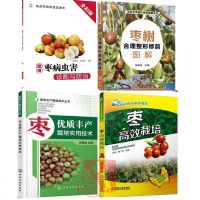 2019枣树种植技术大全书籍 图说枣病虫害诊断与防治+枣优质丰产栽培实用技术+枣高效栽培+枣树合理整形修剪图解大枣小