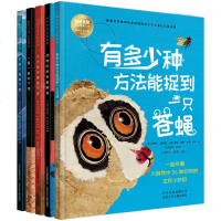 科学艺术认知系列 全5册 3-6-8岁儿童绘本故事幼儿图书 幼儿园大班书籍 史蒂夫詹金斯著美国少儿国外获奖 经典科普