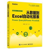 从数据到Excel自动化报表 Power Query和Power Pivot实战 黄海剑(大海)Excel Powe