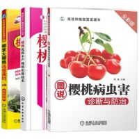 樱桃优质丰产栽培实用技术+棚室大樱桃高效栽培+图说樱桃病虫害诊断与防治 3册 樱桃花果管理技术 整形修剪 樱桃树种植