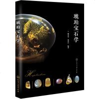 琥珀宝石学 琥珀收藏与鉴赏书籍 琥珀宝石鉴定原理技术 琥珀优化处理鉴定技术 琥珀优化处理 宝石类材料相关专业的教材和