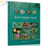 正版常用中草药图谱2700种 叶华谷 中草药鉴别辨别方法 中草药品种种类分类形态形状分布特征图谱大全 中草药野外