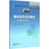 城市公安全研究 陈连进,赵云胜,张佳文 著 社会科学总论、学术 经管、励志 气象出版社