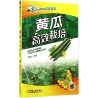 黄瓜高效栽培 双色印刷 12 无 种植业 专业科技 机械工业出版社