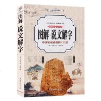 【865千字 433页】图解说文解字【彩图全解】许慎原文译文注释插图版 厚本古代汉语字典古文字细说汉字的故事画说汉字