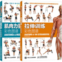 肌肉力量训练+拉伸训练彩色图谱2本 运动健身肌肉拉伸书籍囚徒健身科学运动健美增肌无器械健身教练